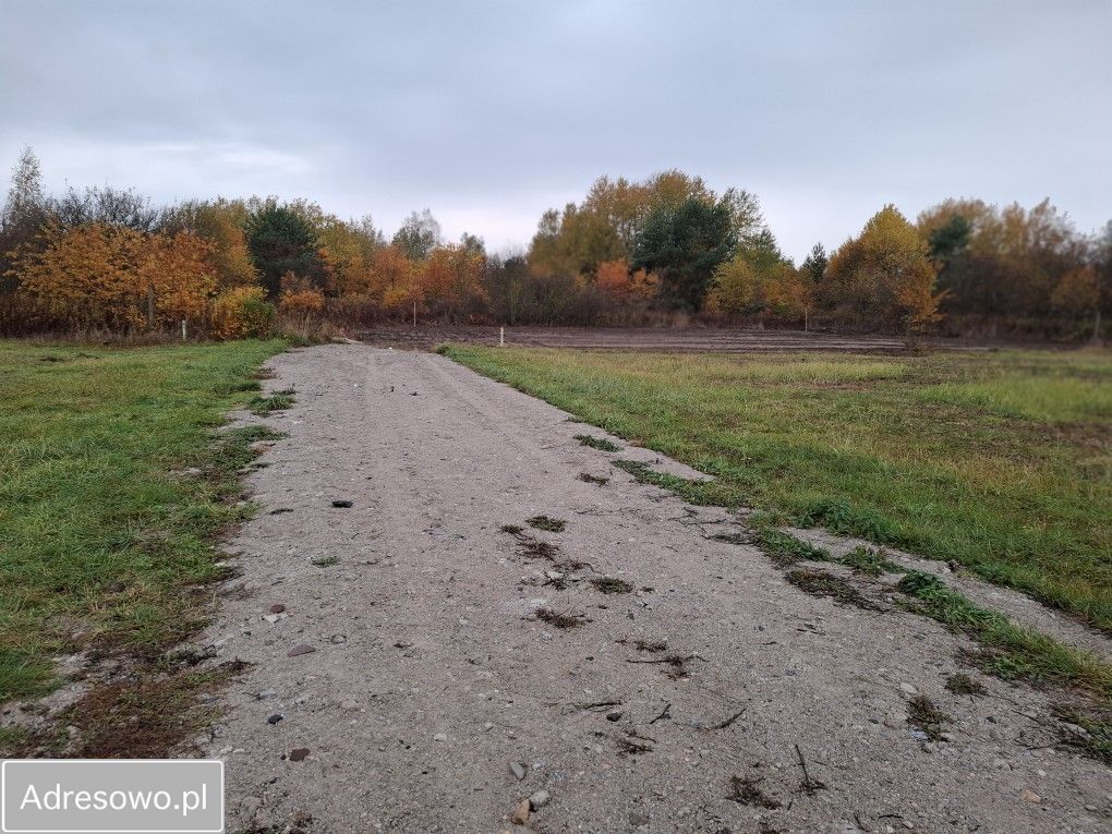 Działka rolno-budowlana Dębe Wielkie. Zdjęcie 9