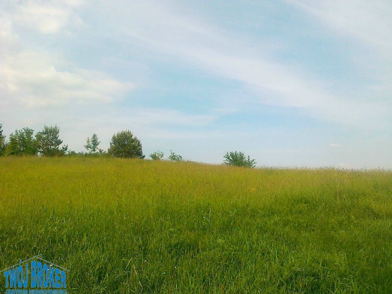 Działka budowlana Tągowie. Zdjęcie 9