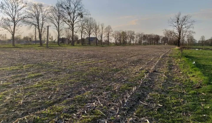 Działka budowlana Zieleniec