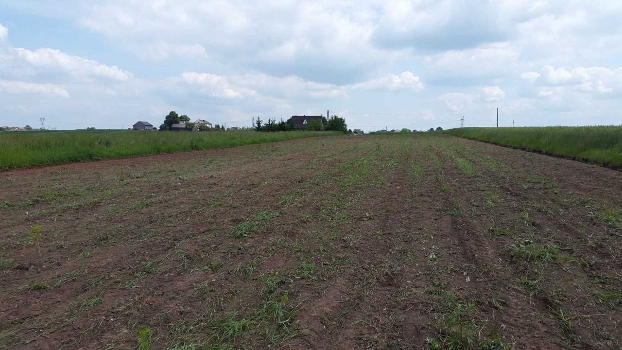 Działka rolno-budowlana Zabijak. Zdjęcie 3