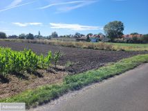 Działka budowlana Opole Nowa Wieś Królewska, ul. Bolesława Chrobrego. Zdjęcie 3