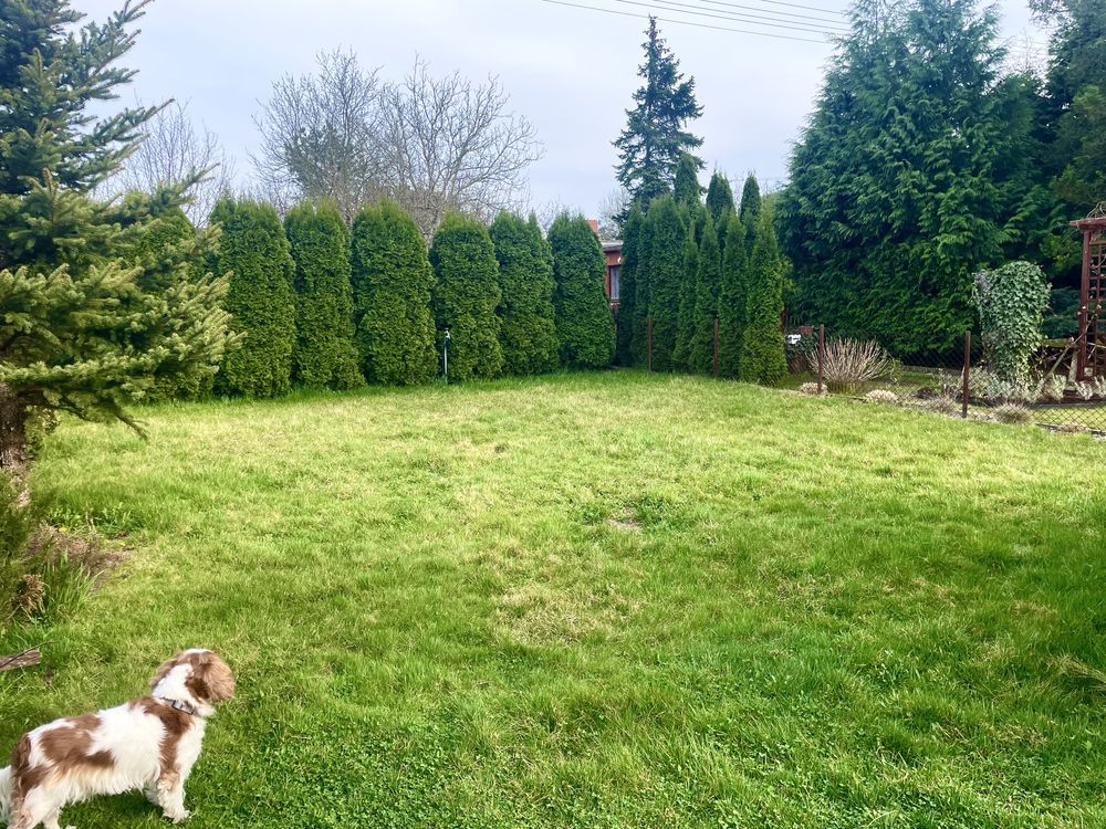 Działka rod Szałe. Zdjęcie 8