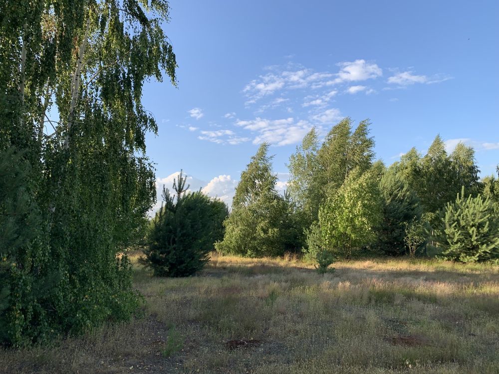 Działka rolno-budowlana Szumlin. Zdjęcie 7