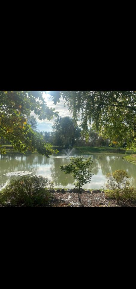 Działka budowlana Sadek, ul. al. Brzozowa. Zdjęcie 4