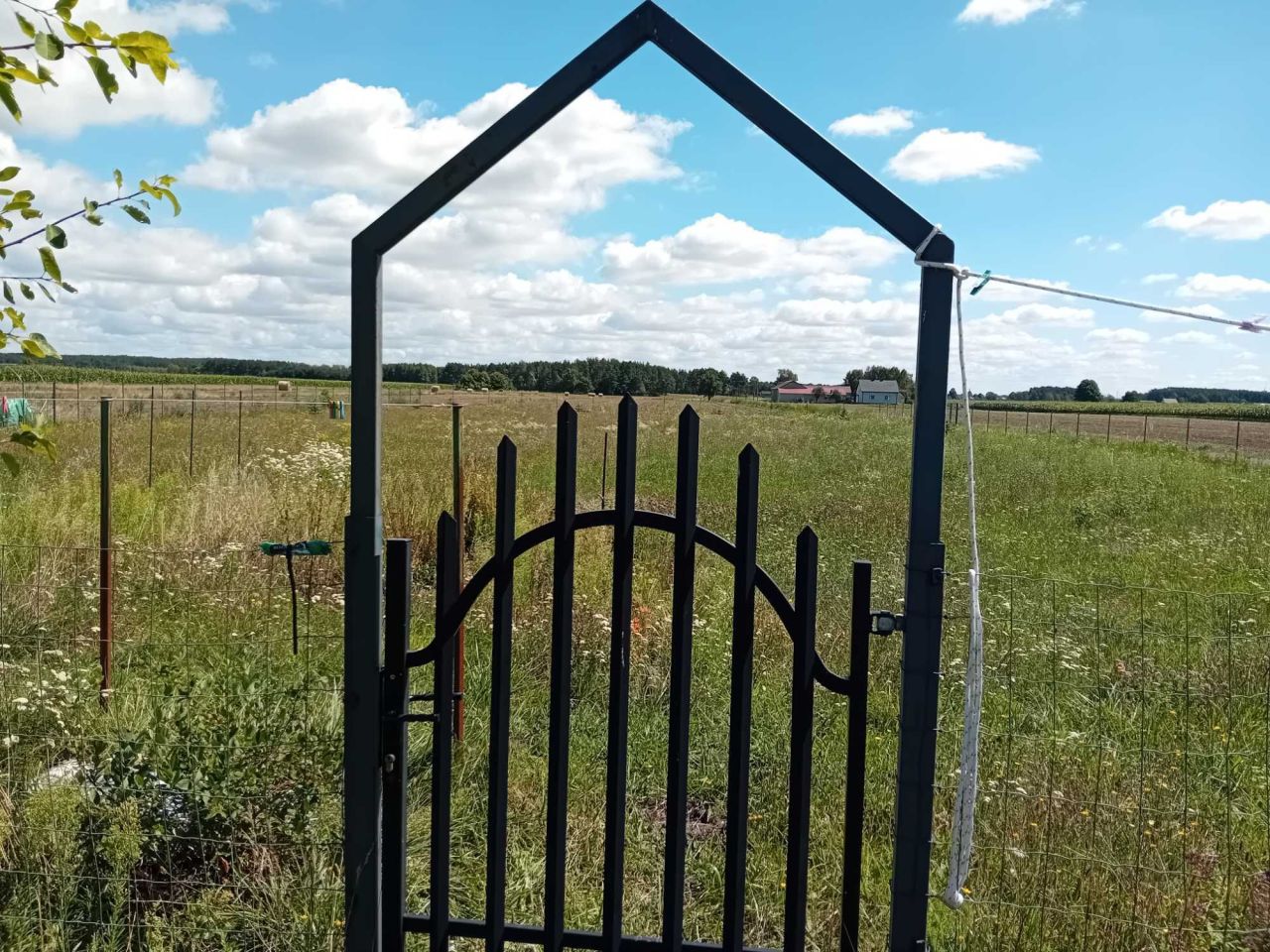 dom wolnostojący, 3 pokoje Radoszewice, ul. Trakt Siemkowicki. Zdjęcie 4