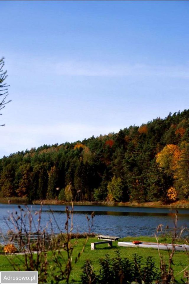 Działka budowlana Wolny Dwór. Zdjęcie 7