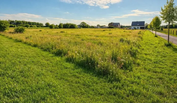Działka budowlana Przypki, ul. Warszawska