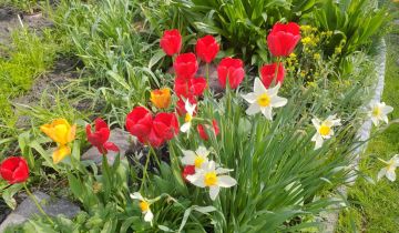 Działka rod Gliwice Sikornik