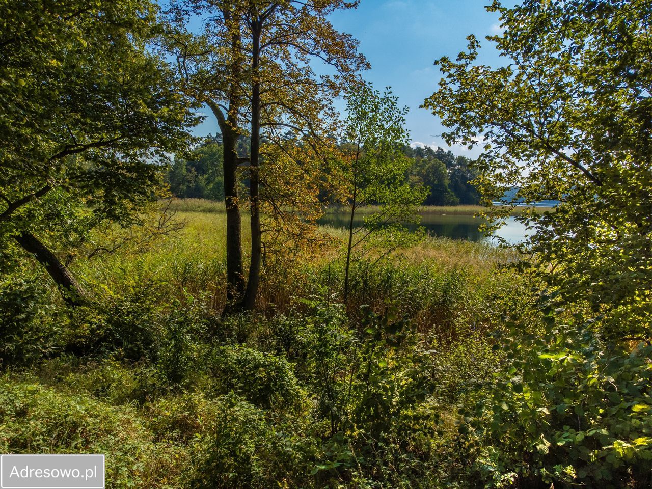 Działka budowlana Pojezierce. Zdjęcie 12