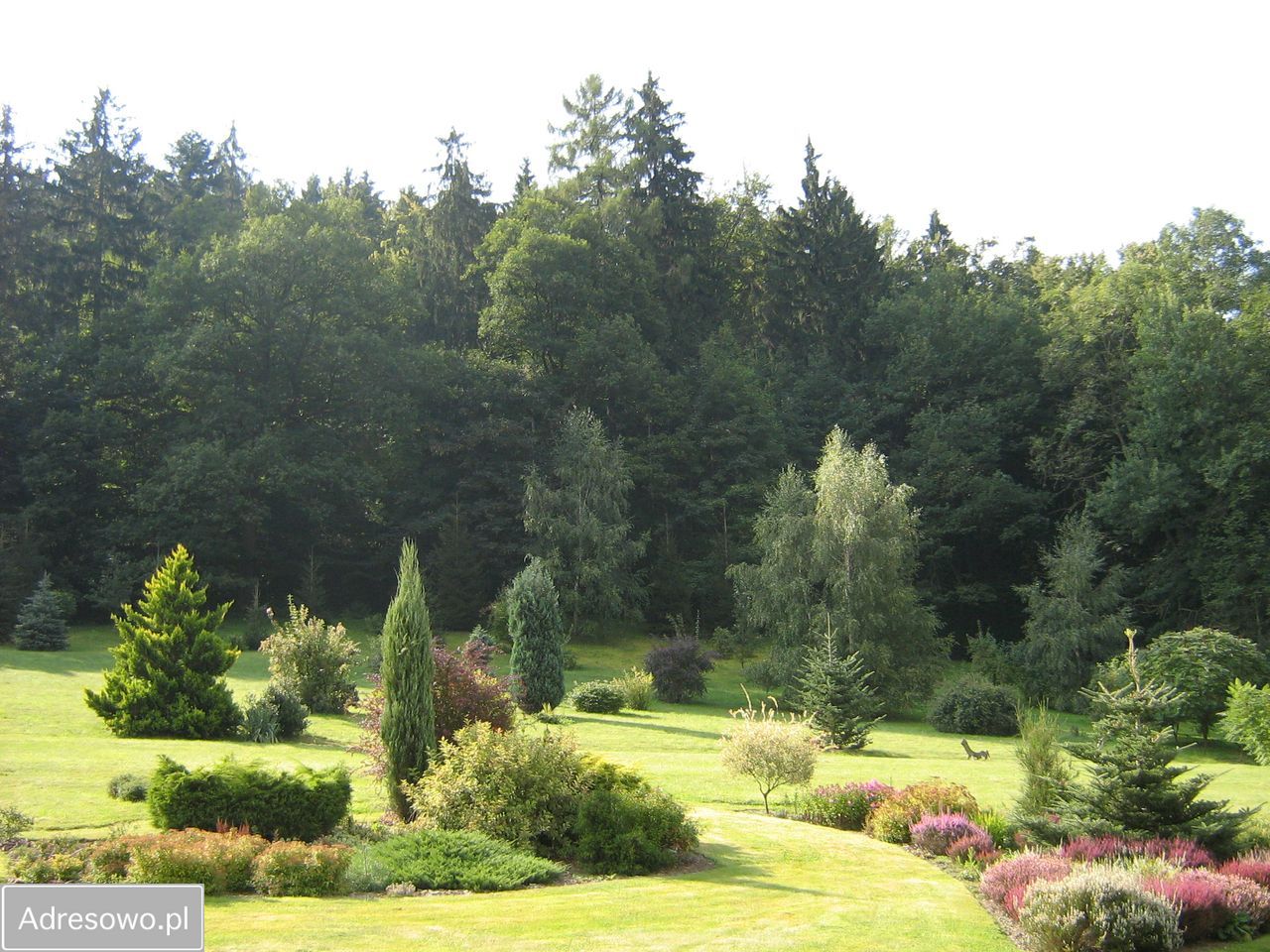 dom wolnostojący, 15 pokoi Pokrzywna. Zdjęcie 6