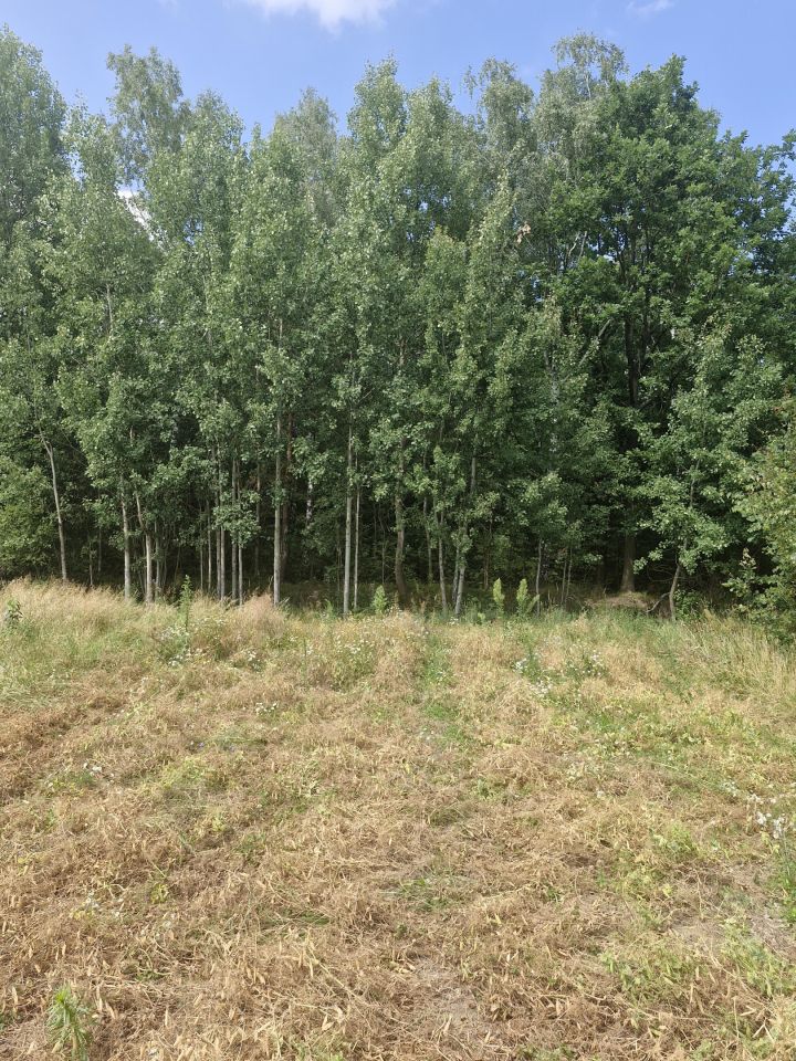 Działka rolna Godów. Zdjęcie 6