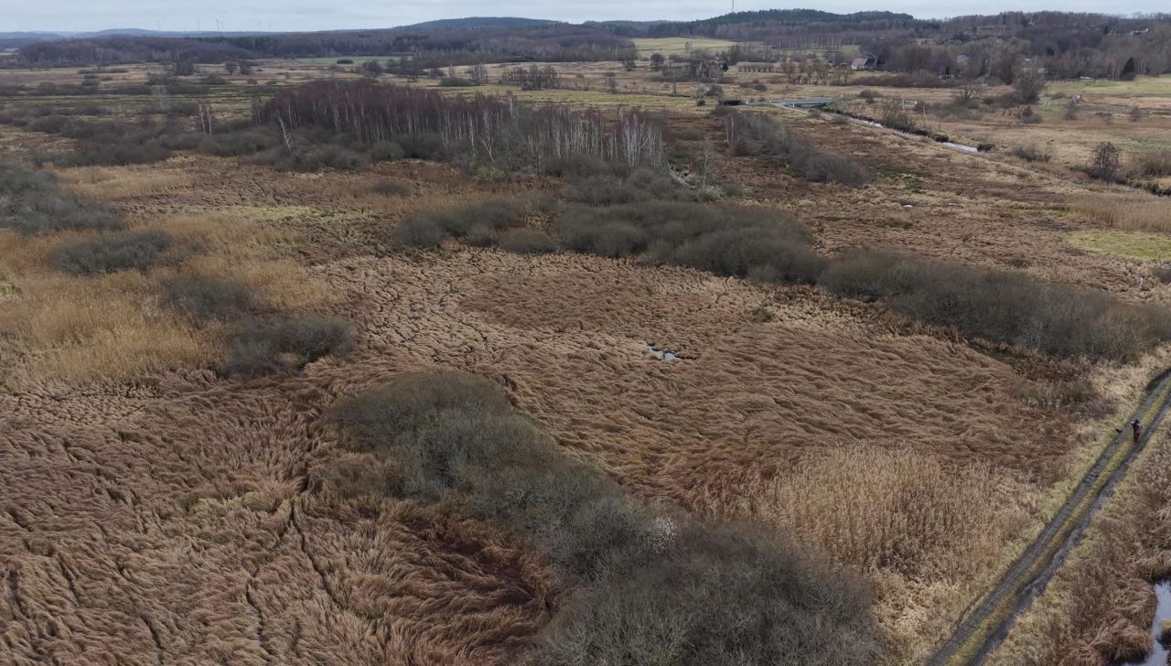 Działka rolna Grabowo. Zdjęcie 5
