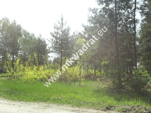 Działka budowlana Stara Wieś. Zdjęcie 6