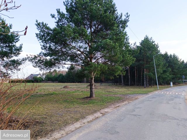 Działka budowlana Wola Smolana, ul. Leśne Echo. Zdjęcie 1