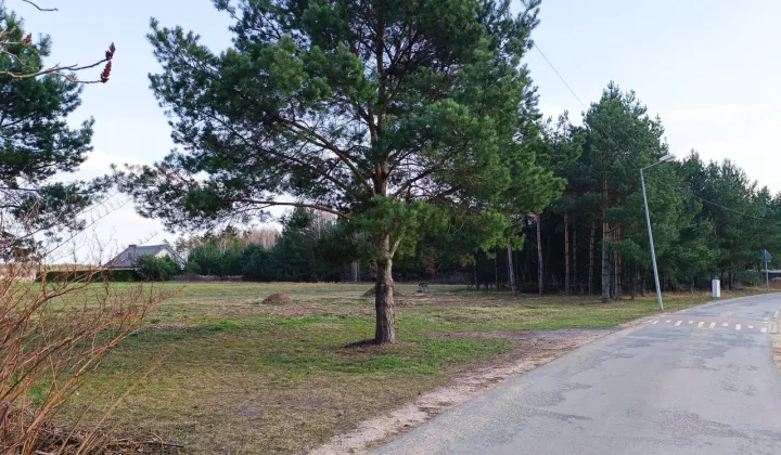 Działka budowlana Wola Smolana, ul. Leśne Echo