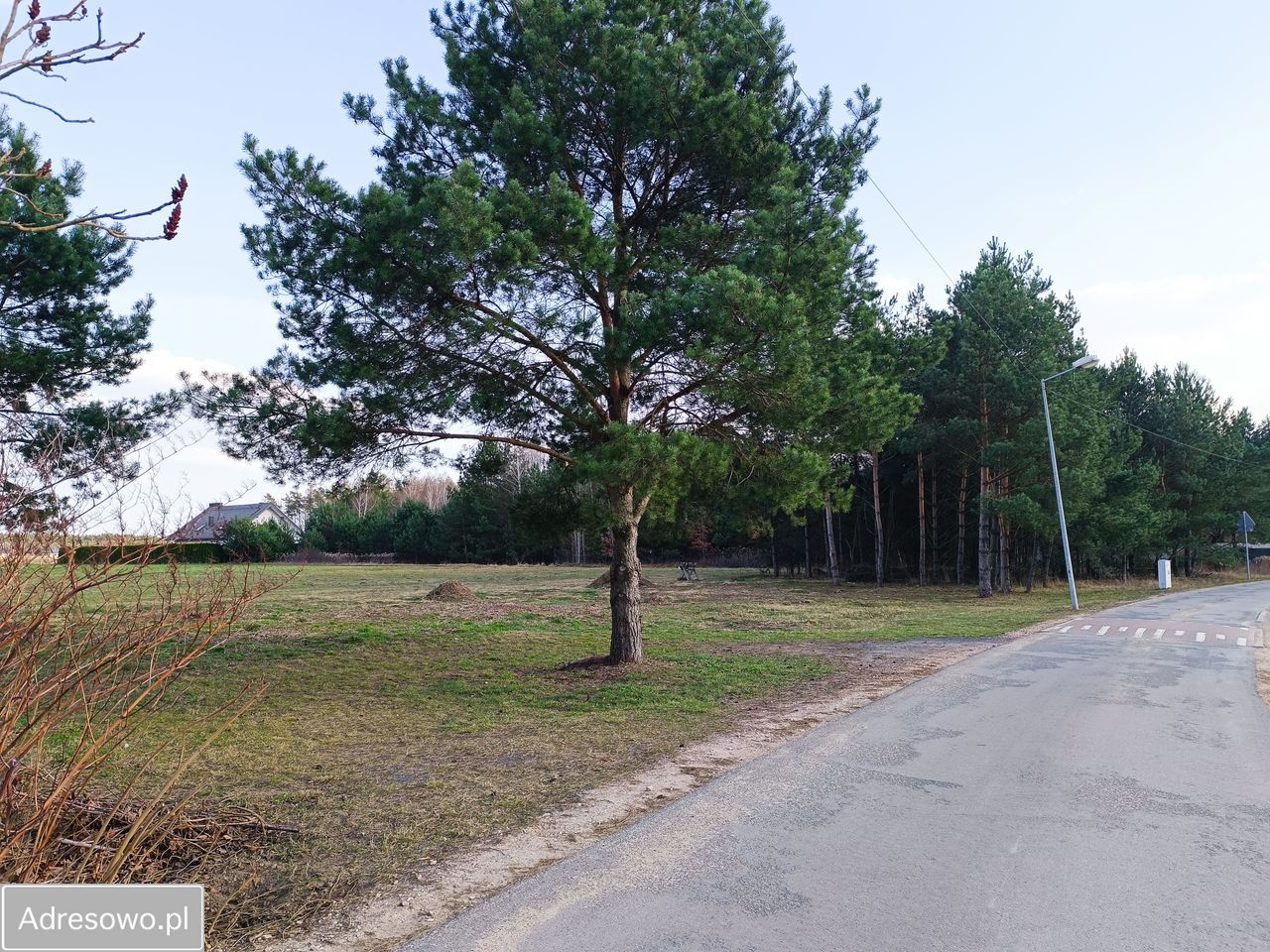 Działka budowlana Wola Smolana, ul. Leśne Echo. Zdjęcie 1