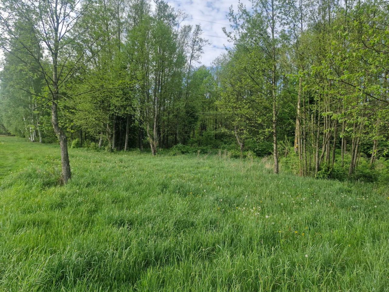 Działka rolna Pogorzałki. Zdjęcie 4