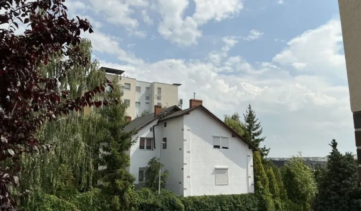 dom wolnostojący, 10 pokoi Gdańsk