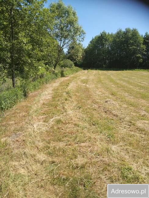 Działka rolno-budowlana Brudzeń Mały. Zdjęcie 2