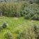 Działka inwestycyjna Szczaki, ul. Łanowa. Zdjęcie 5