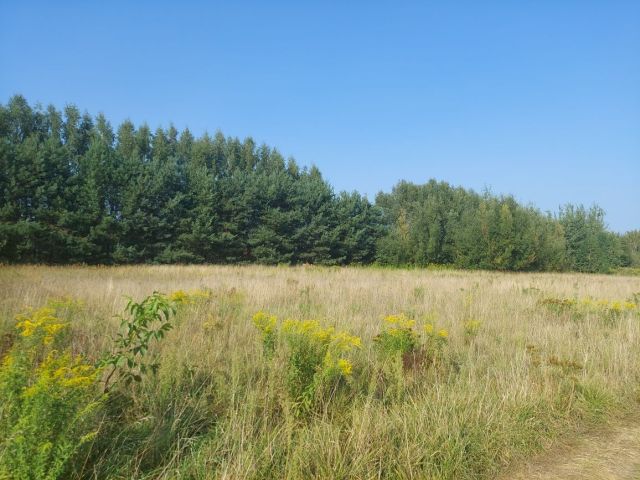 Działka budowlana Rozalin. Zdjęcie 1