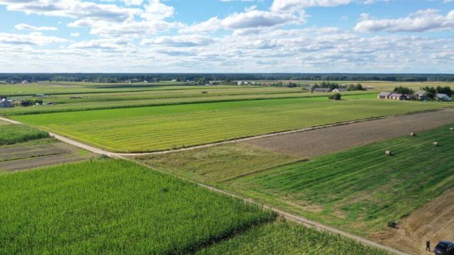 Działka budowlana Czerwone. Zdjęcie 3