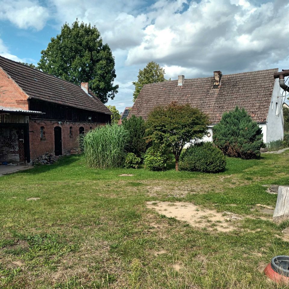 siedlisko Strzelinko. Zdjęcie 5