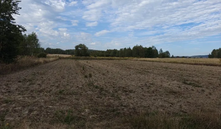 Działka budowlana Górno-Parcele