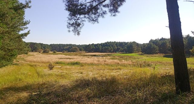 Działka budowlana Maszków, ul. Sulęcińska. Zdjęcie 1