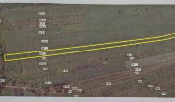 Działka rolna Zbrodzice