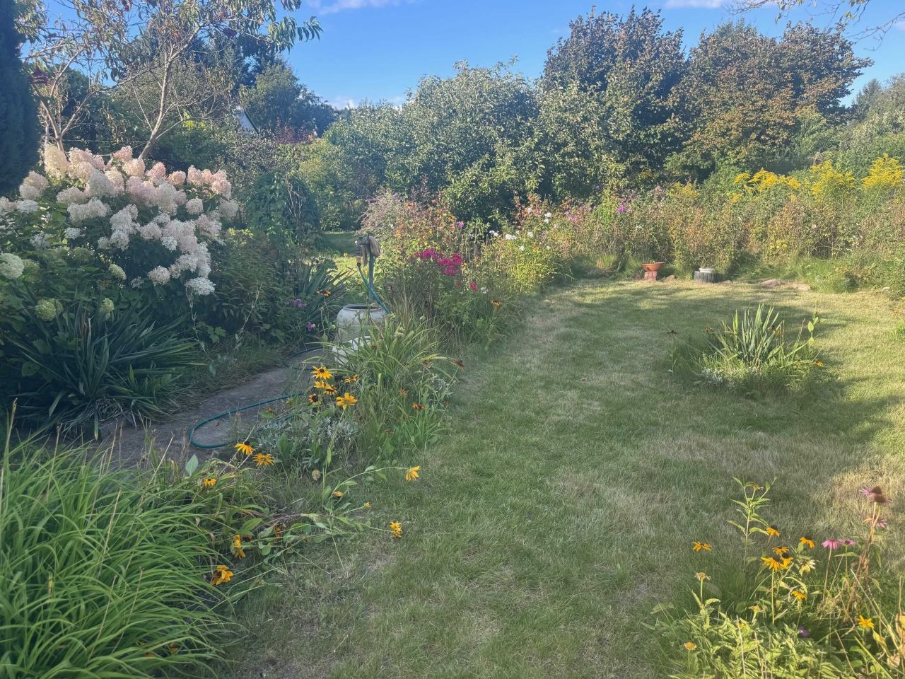 Działka rod Zielona Góra Jędrzychów. Zdjęcie 4