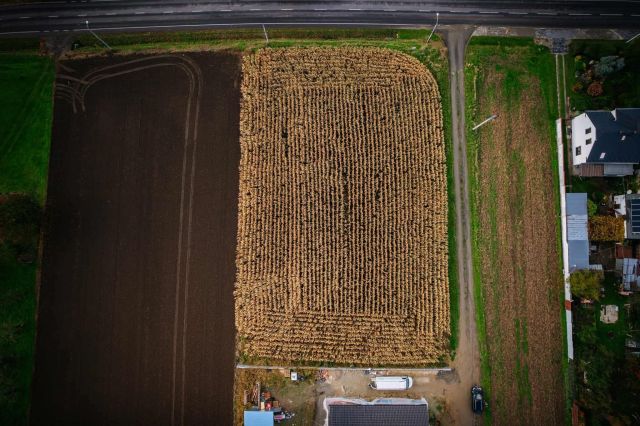 Działka budowlana Pietrowice Wielkie. Zdjęcie 7