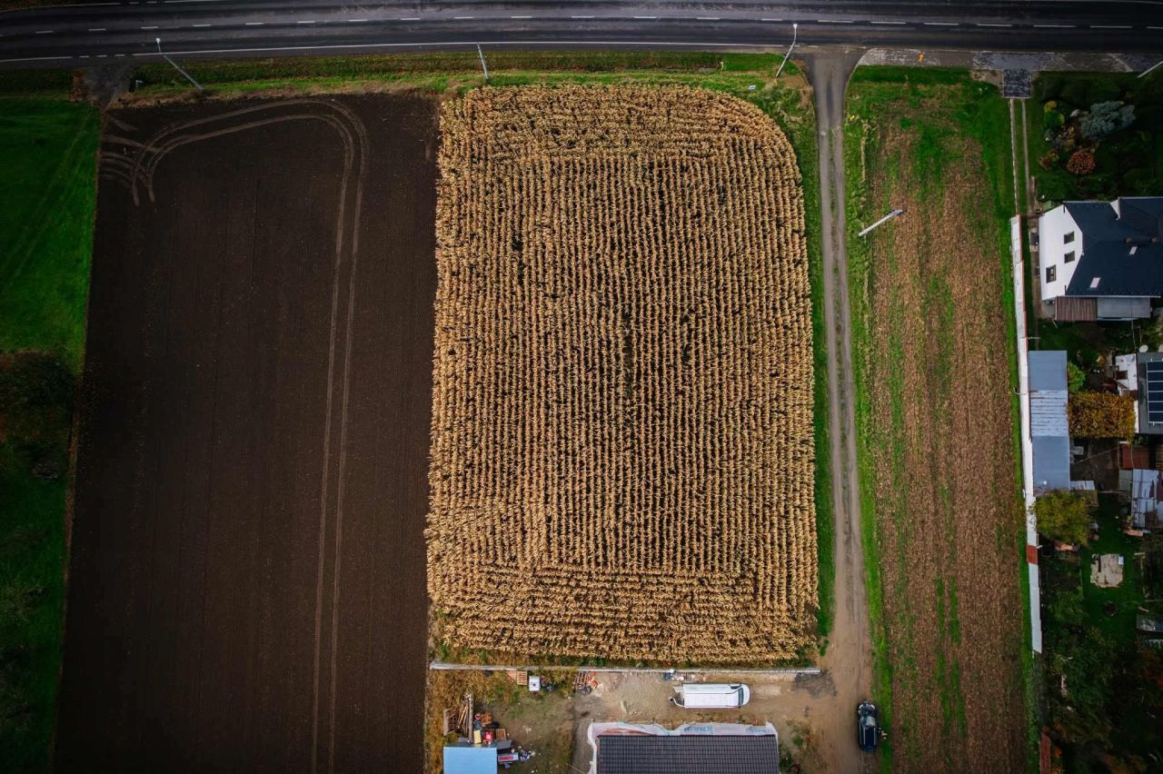 Działka budowlana Pietrowice Wielkie. Zdjęcie 7