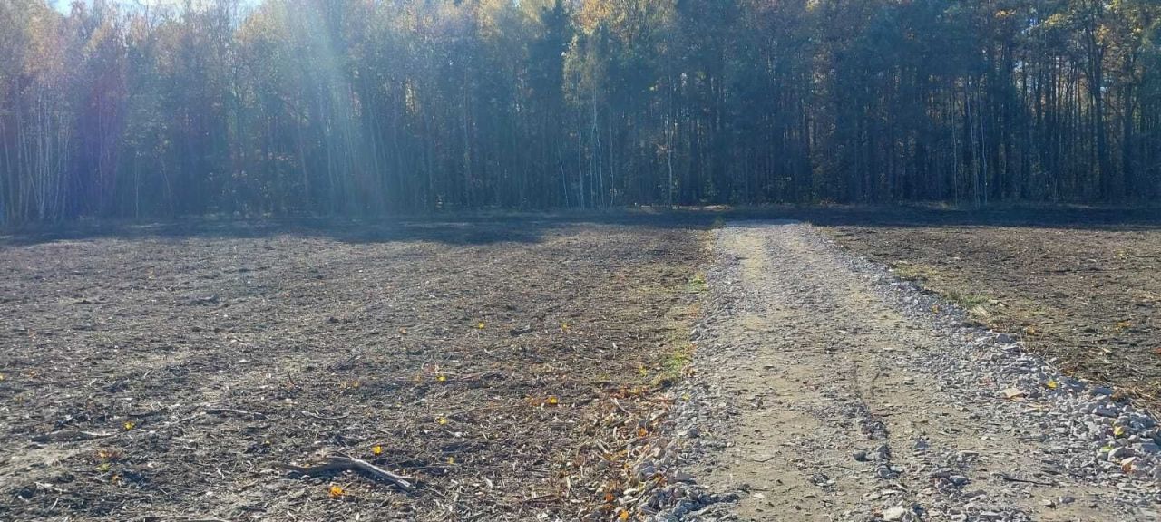 Działka budowlana Wiązowna Kościelna, ul. Stefana Bryły. Zdjęcie 4