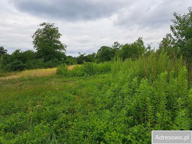 Działka inwestycyjna Otwock Wielki, ul. Zamkowa. Zdjęcie 5