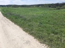 Działka inwestycyjna Nowy Borek. Zdjęcie 3