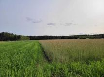 Działka budowlana Nowy Sumin. Zdjęcie 1