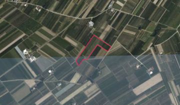 Działka rolna Wólka Kurdybanowska