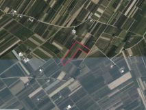 Działka rolna Wólka Kurdybanowska