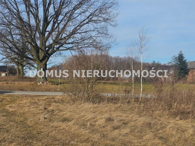 Działka Polik. Zdjęcie 6