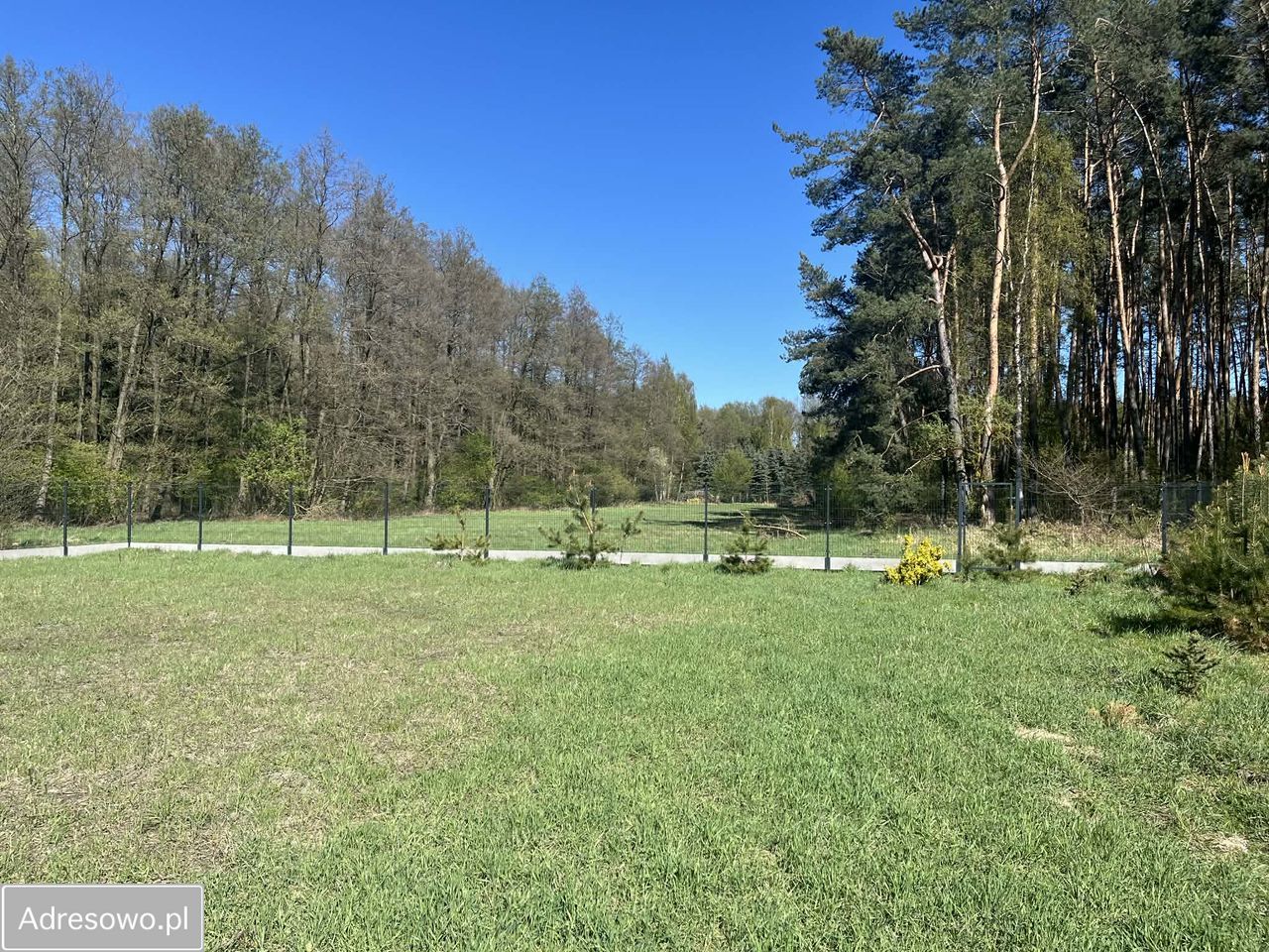 dom wolnostojący, 4 pokoje Graby. Zdjęcie 12