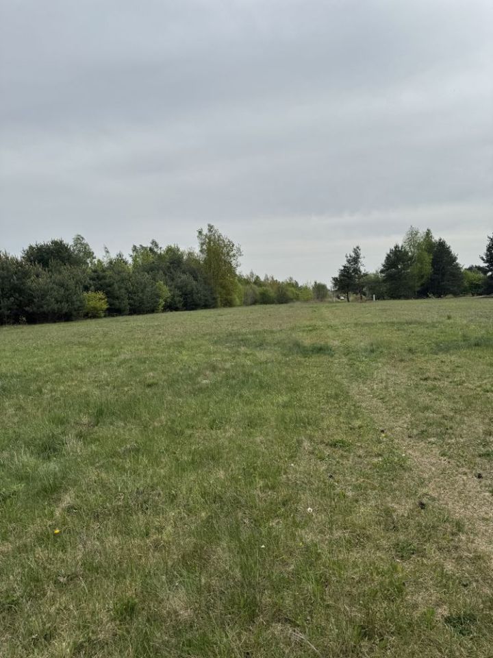 Działka rolno-budowlana Prace Małe. Zdjęcie 5