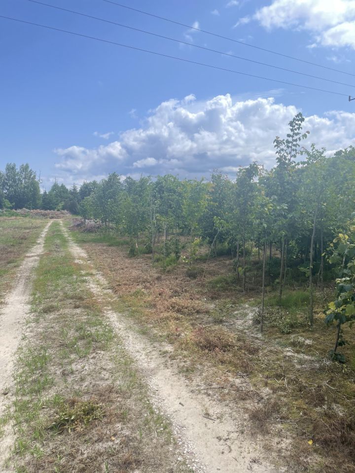 Działka rolna Zdunki. Zdjęcie 4