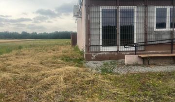 Lokal Zapowiednia