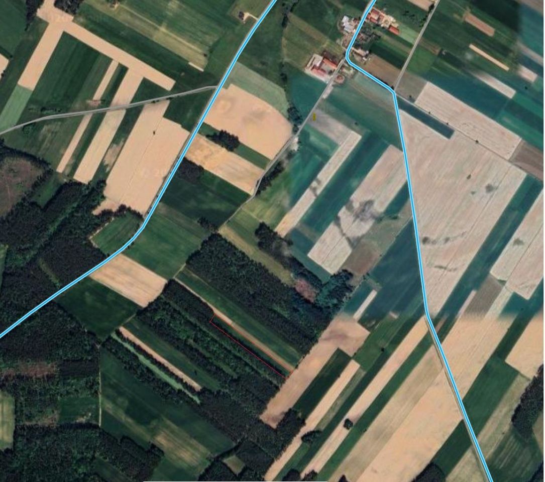 Działka rolna Lachowo. Zdjęcie 3