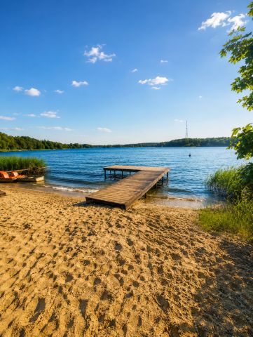 Działka budowlana Głębockie Pierwsze Witalisów, Witalisów. Zdjęcie 1