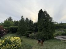 Działka rod Piła. Zdjęcie 2