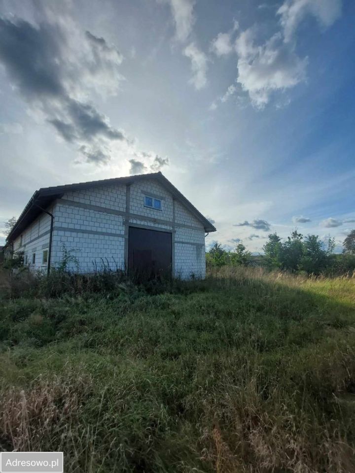 gospodarstwo Potkanna. Zdjęcie 4