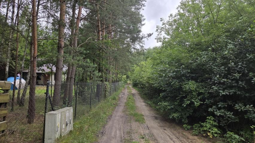 Działka leśna Królewo