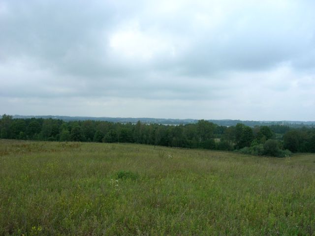 Działka siedliskowa Kikity. Zdjęcie 1